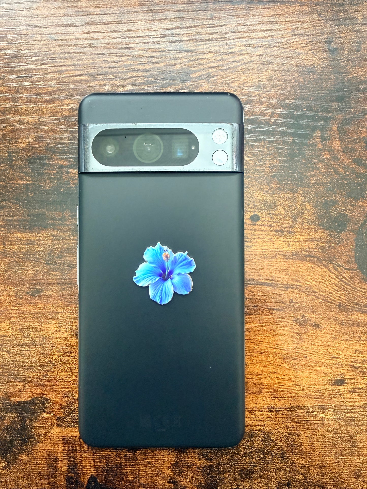 Blue Flower