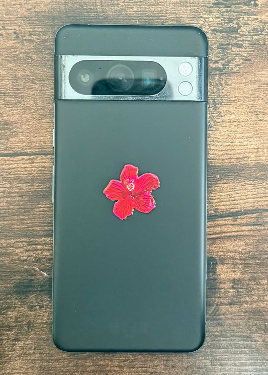 Red flower