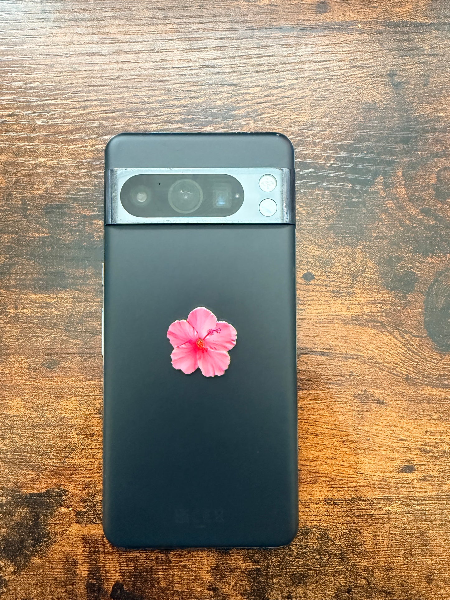 Pink Flower