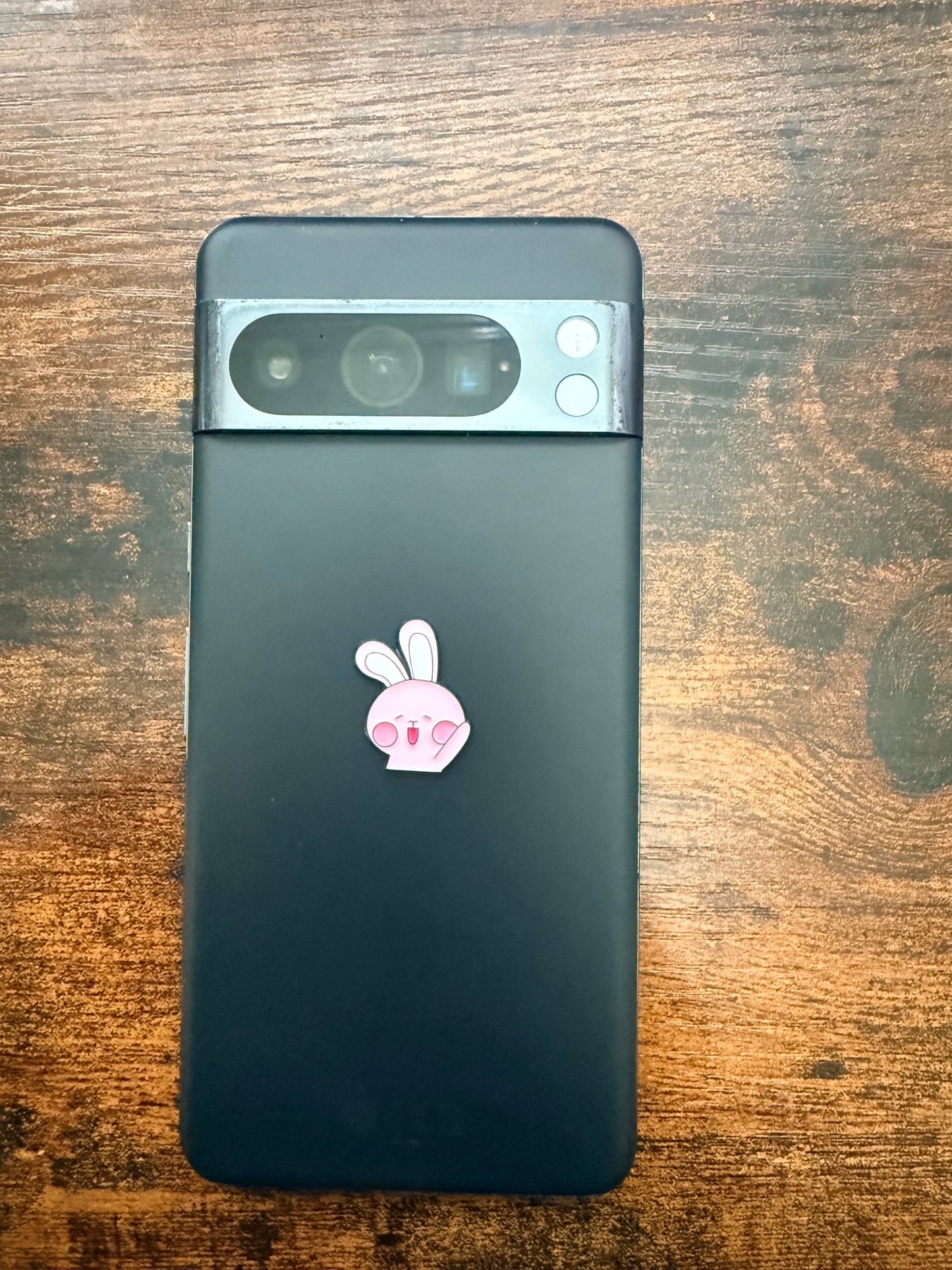Pink Bunny